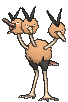 Dodrio